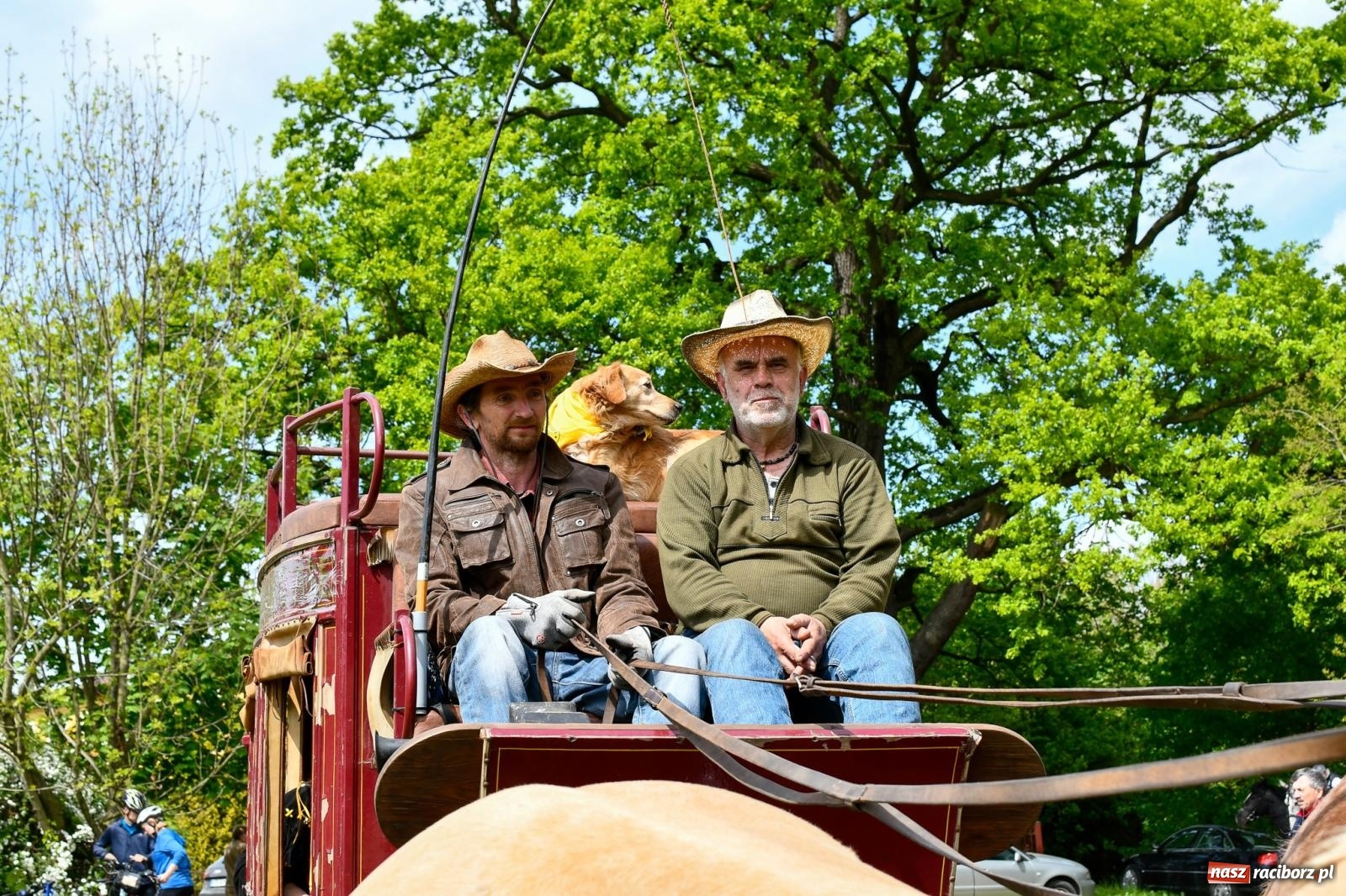 Zdjęcie w galerii na portalu naszraciborz.pl: Procesja konna w Łubowicach. Dopisała pogoda i jeźdźcy [FOTO i WIDEO] wiadomości z regionu