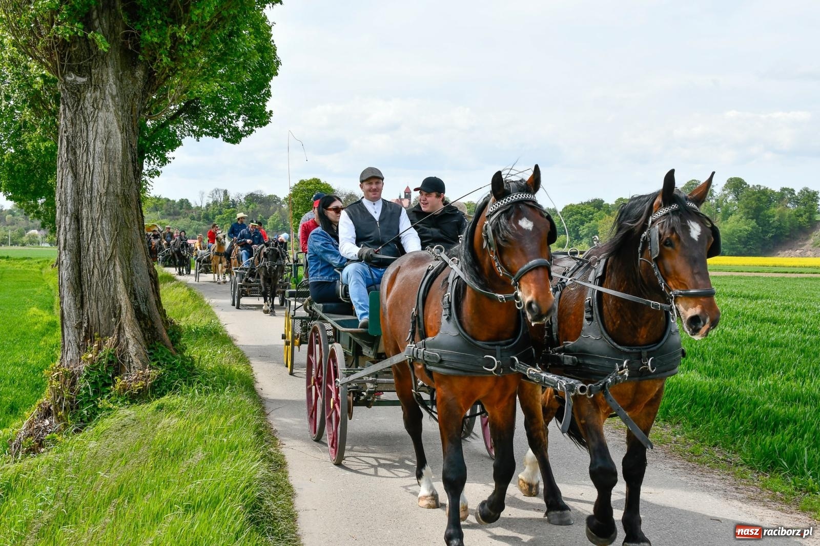 Zdjęcie w galerii na portalu naszraciborz.pl: Procesja konna w Łubowicach. Dopisała pogoda i jeźdźcy [FOTO i WIDEO] wiadomości z regionu