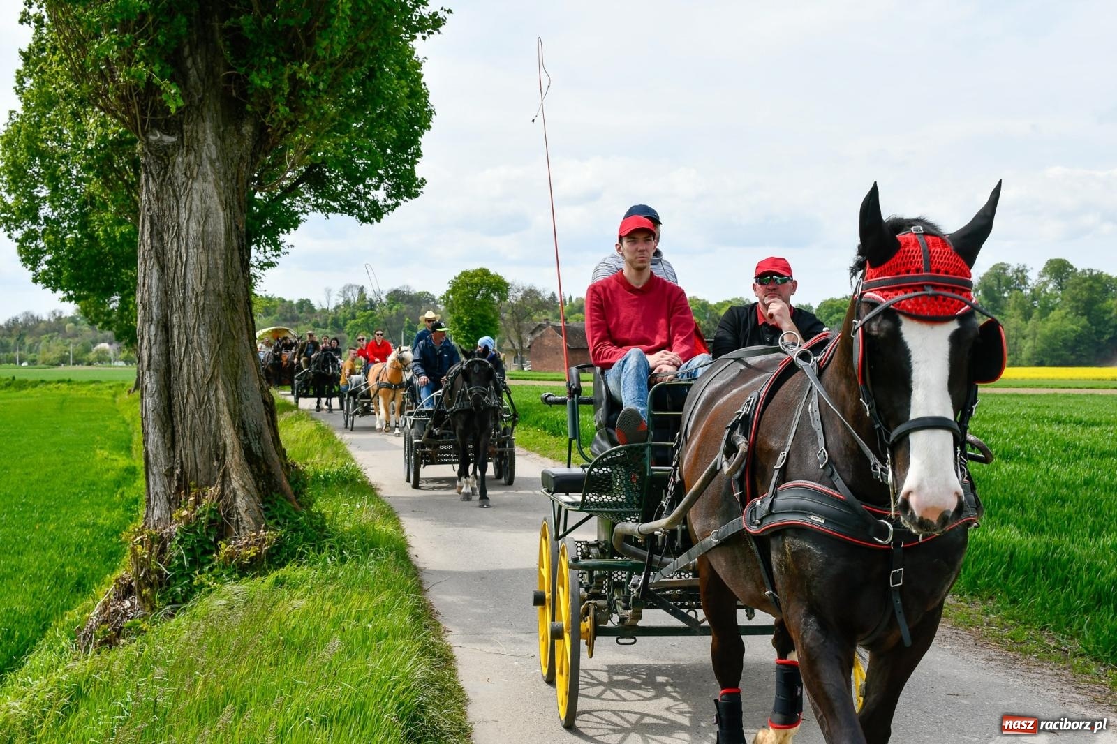 Zdjęcie w galerii na portalu naszraciborz.pl: Procesja konna w Łubowicach. Dopisała pogoda i jeźdźcy [FOTO i WIDEO] wiadomości z regionu