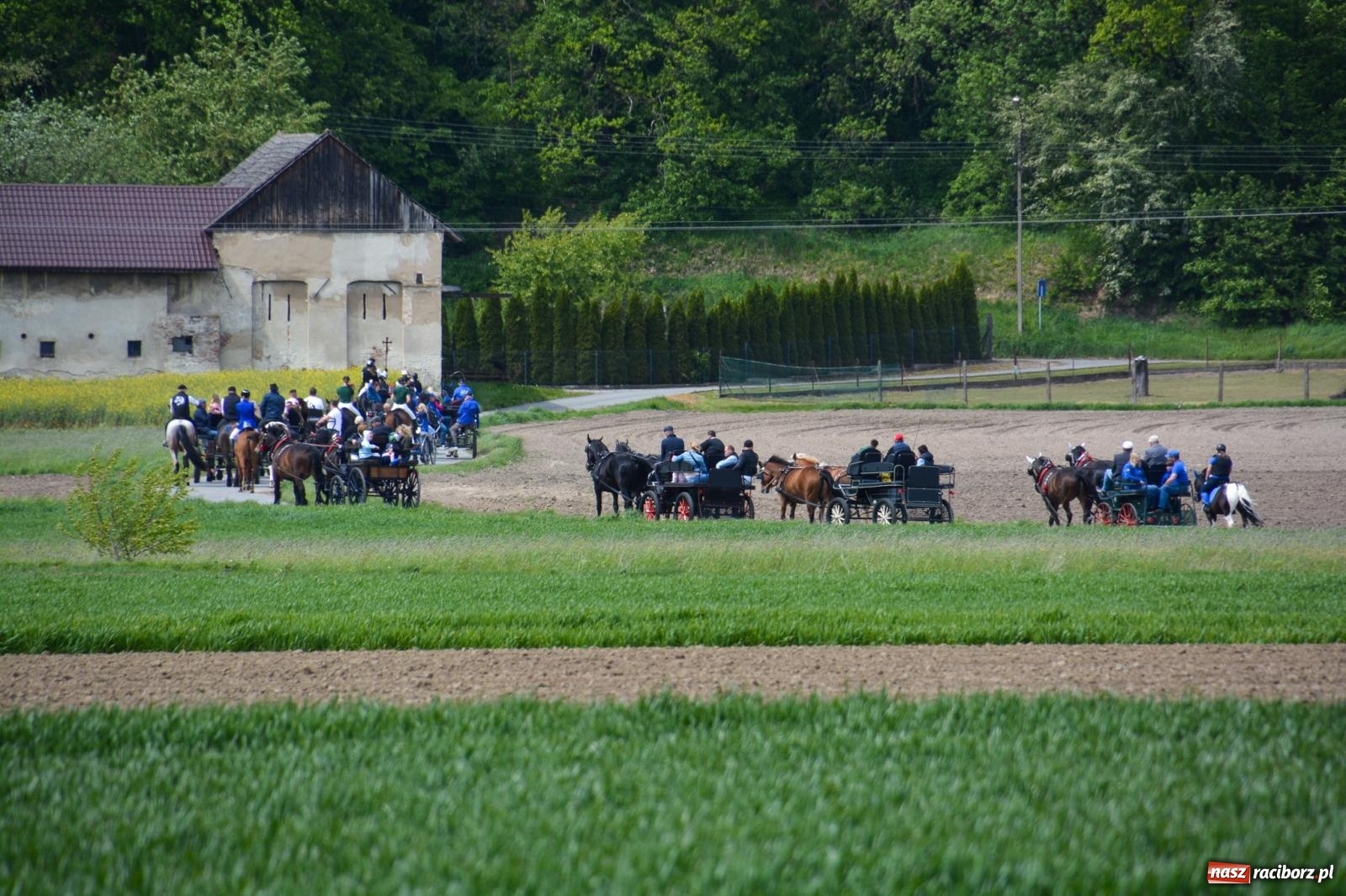 Zdjęcie w galerii na portalu naszraciborz.pl: Procesja konna w Łubowicach. Dopisała pogoda i jeźdźcy [FOTO i WIDEO] wiadomości z regionu