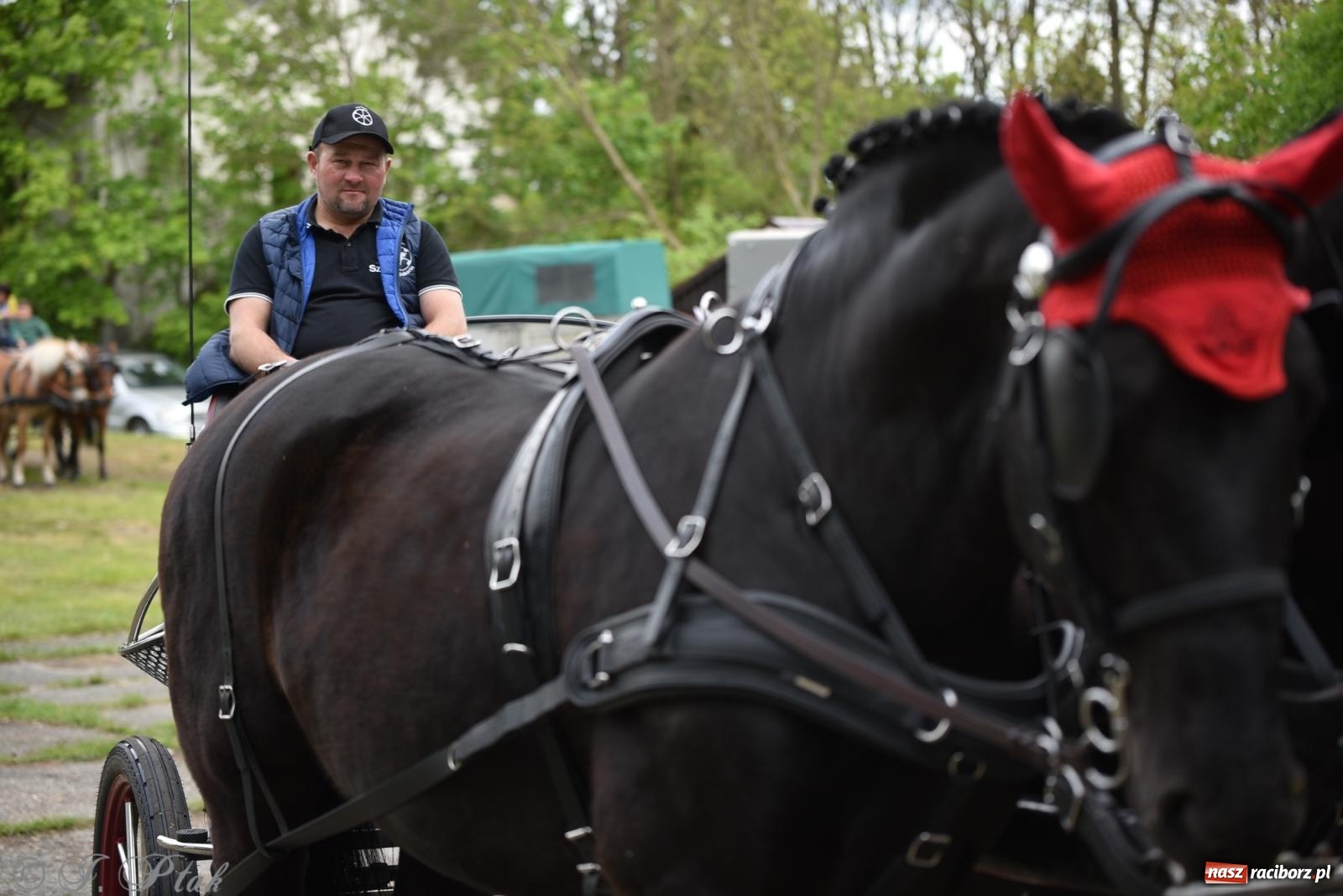 Zdjęcie w galerii na portalu naszraciborz.pl: Łubowicka procesja konna na bis! [FOTO i WIDEO] wiadomości z regionu