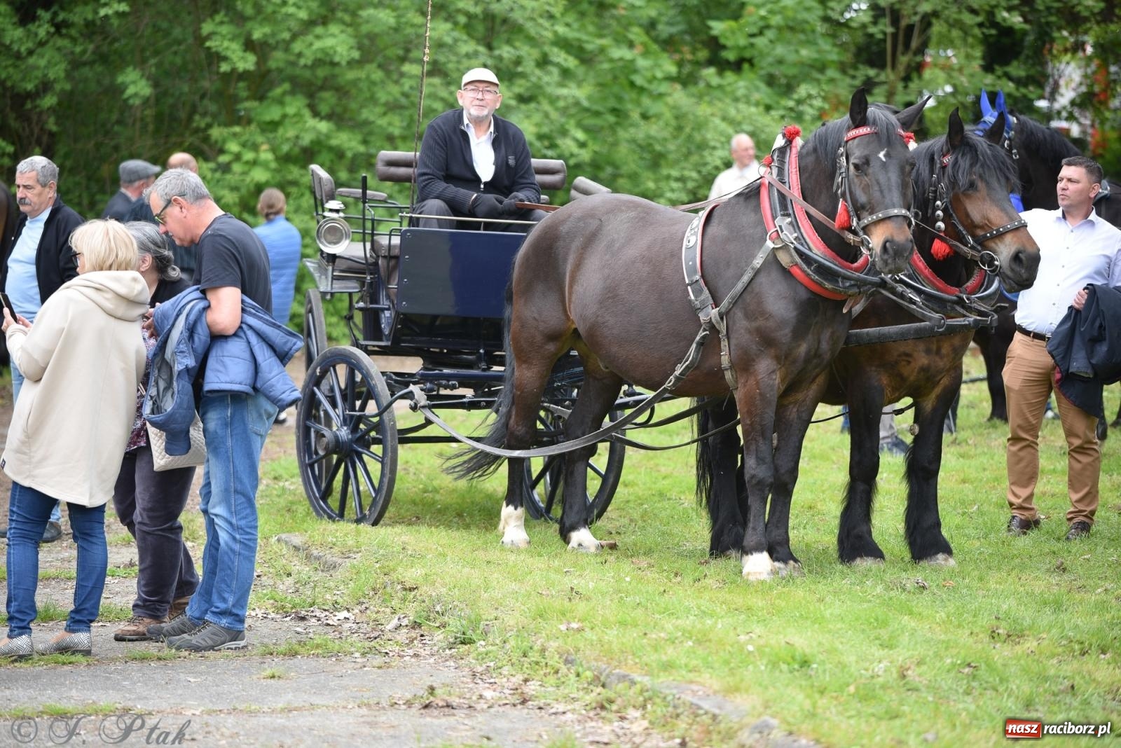 Zdjęcie w galerii na portalu naszraciborz.pl: Łubowicka procesja konna na bis! [FOTO i WIDEO] wiadomości z regionu