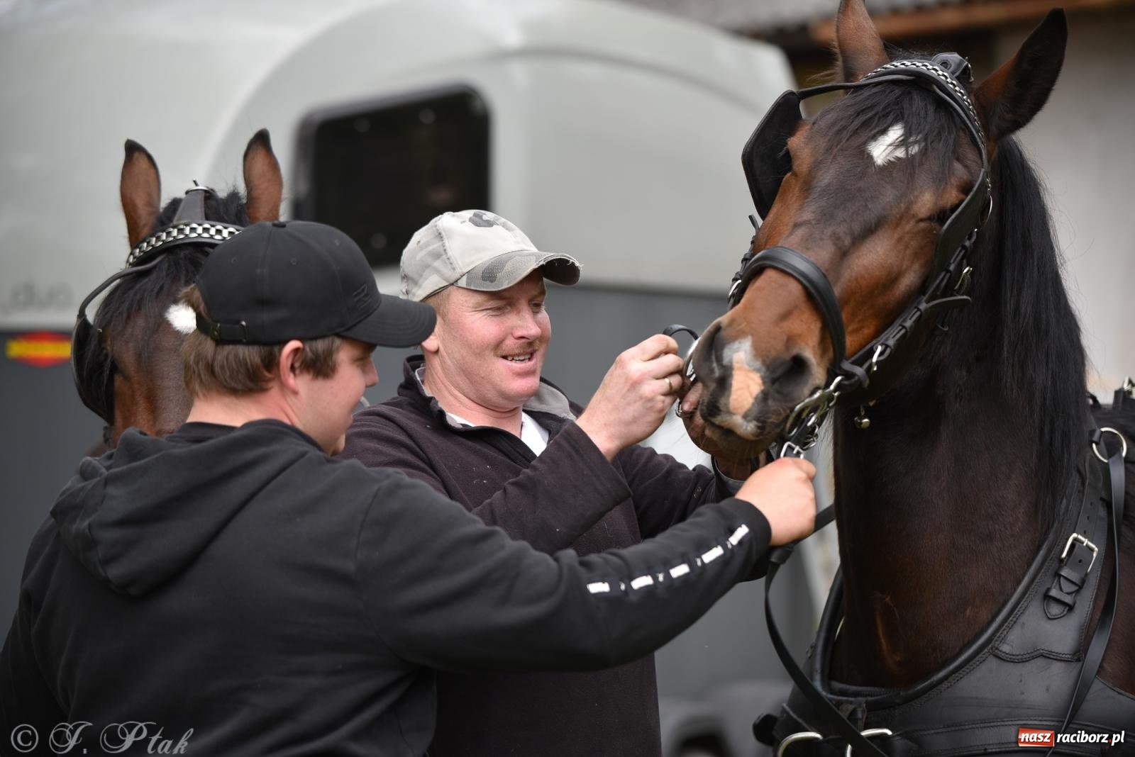 Zdjęcie w galerii na portalu naszraciborz.pl: Łubowicka procesja konna na bis! [FOTO i WIDEO] wiadomości z regionu