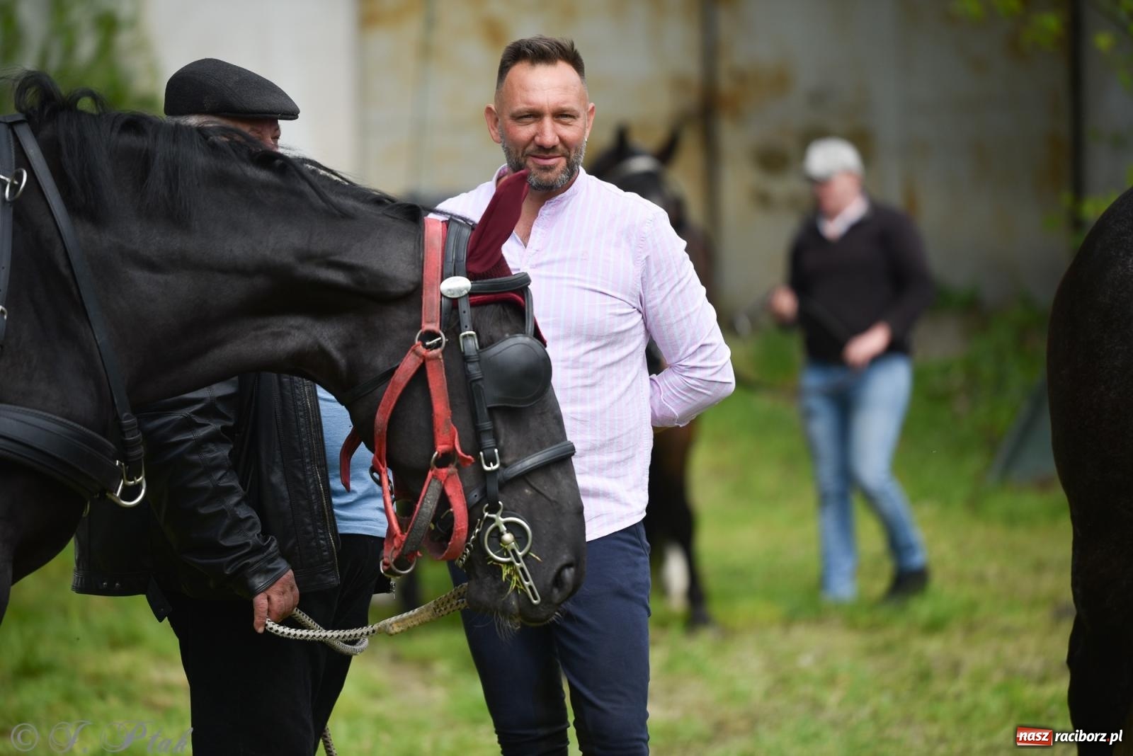 Zdjęcie w galerii na portalu naszraciborz.pl: Łubowicka procesja konna na bis! [FOTO i WIDEO] wiadomości z regionu