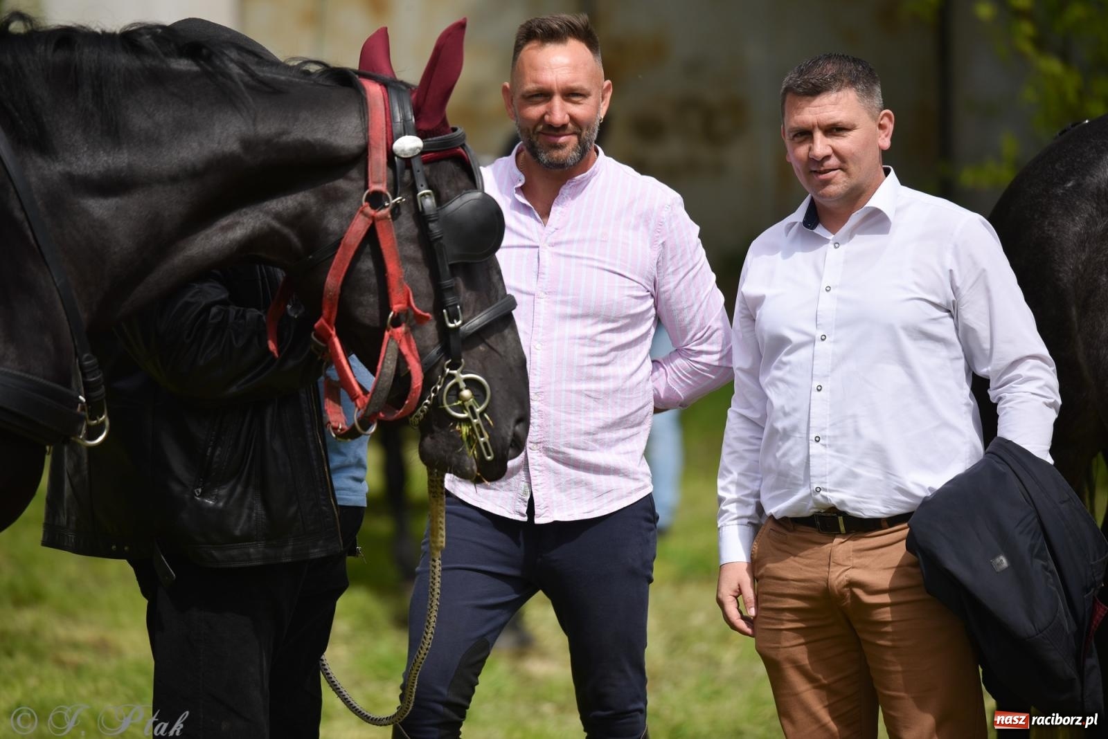 Zdjęcie w galerii na portalu naszraciborz.pl: Łubowicka procesja konna na bis! [FOTO i WIDEO] wiadomości z regionu