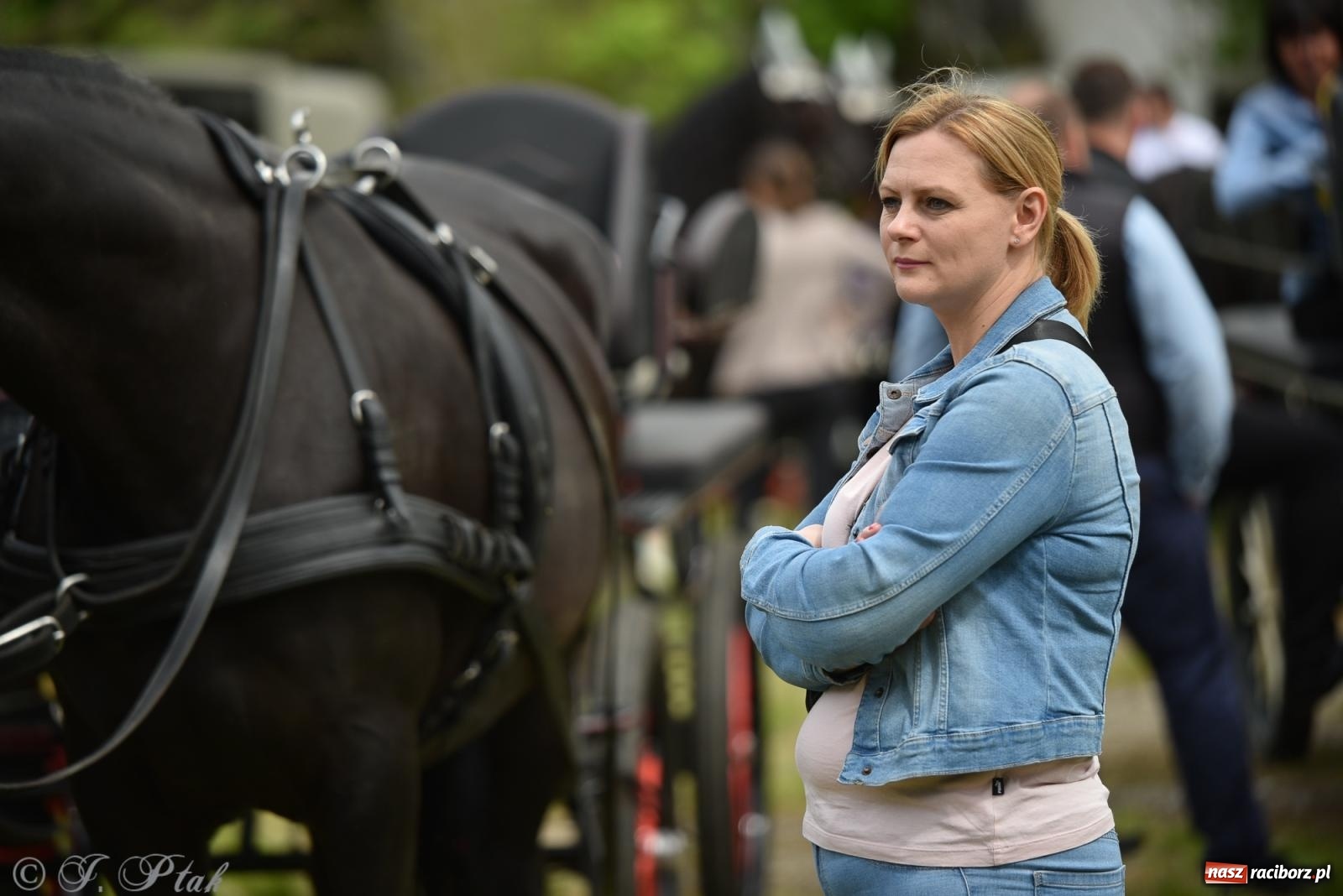 Zdjęcie w galerii na portalu naszraciborz.pl: Łubowicka procesja konna na bis! [FOTO i WIDEO] wiadomości z regionu