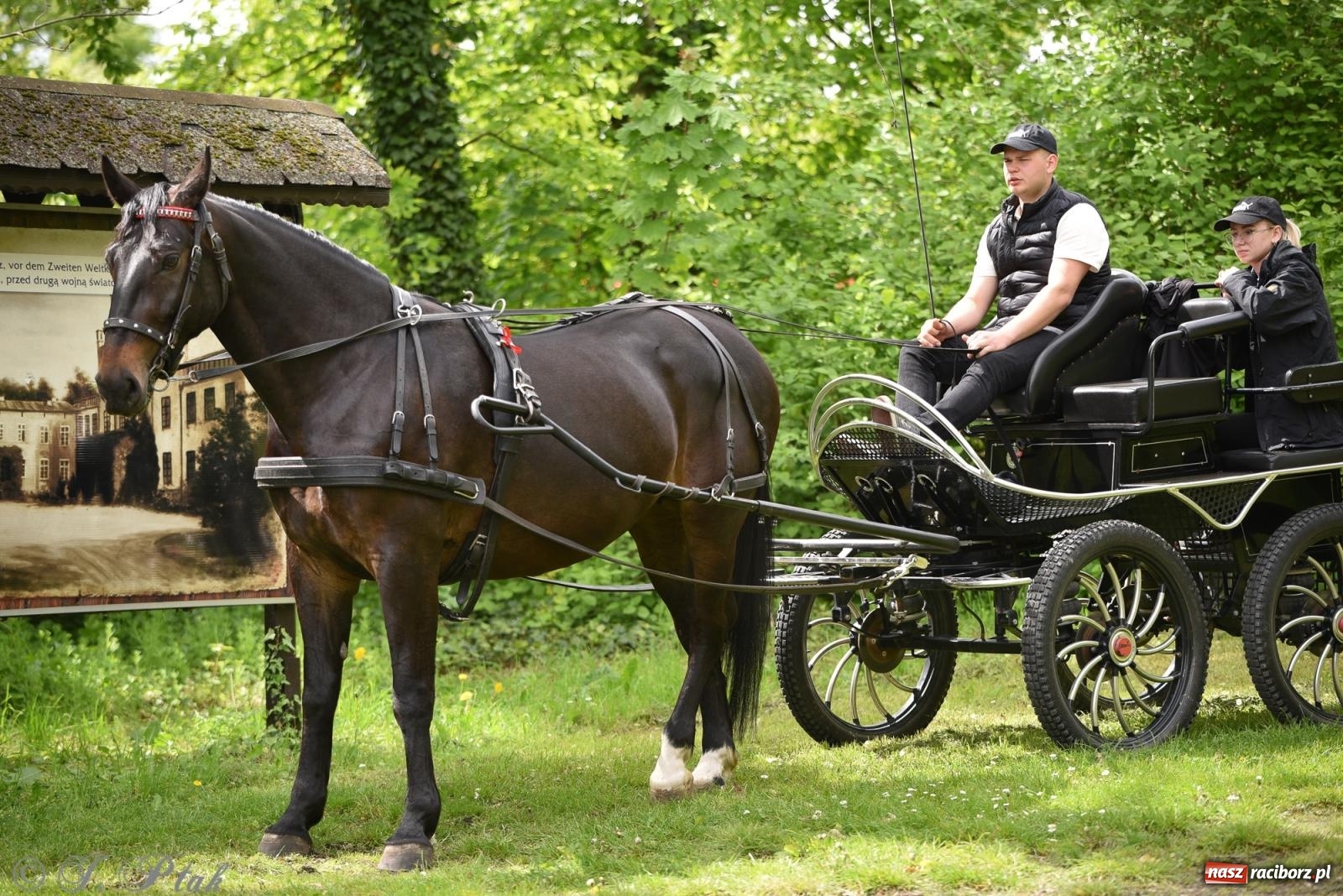 Zdjęcie w galerii na portalu naszraciborz.pl: Łubowicka procesja konna na bis! [FOTO i WIDEO] wiadomości z regionu