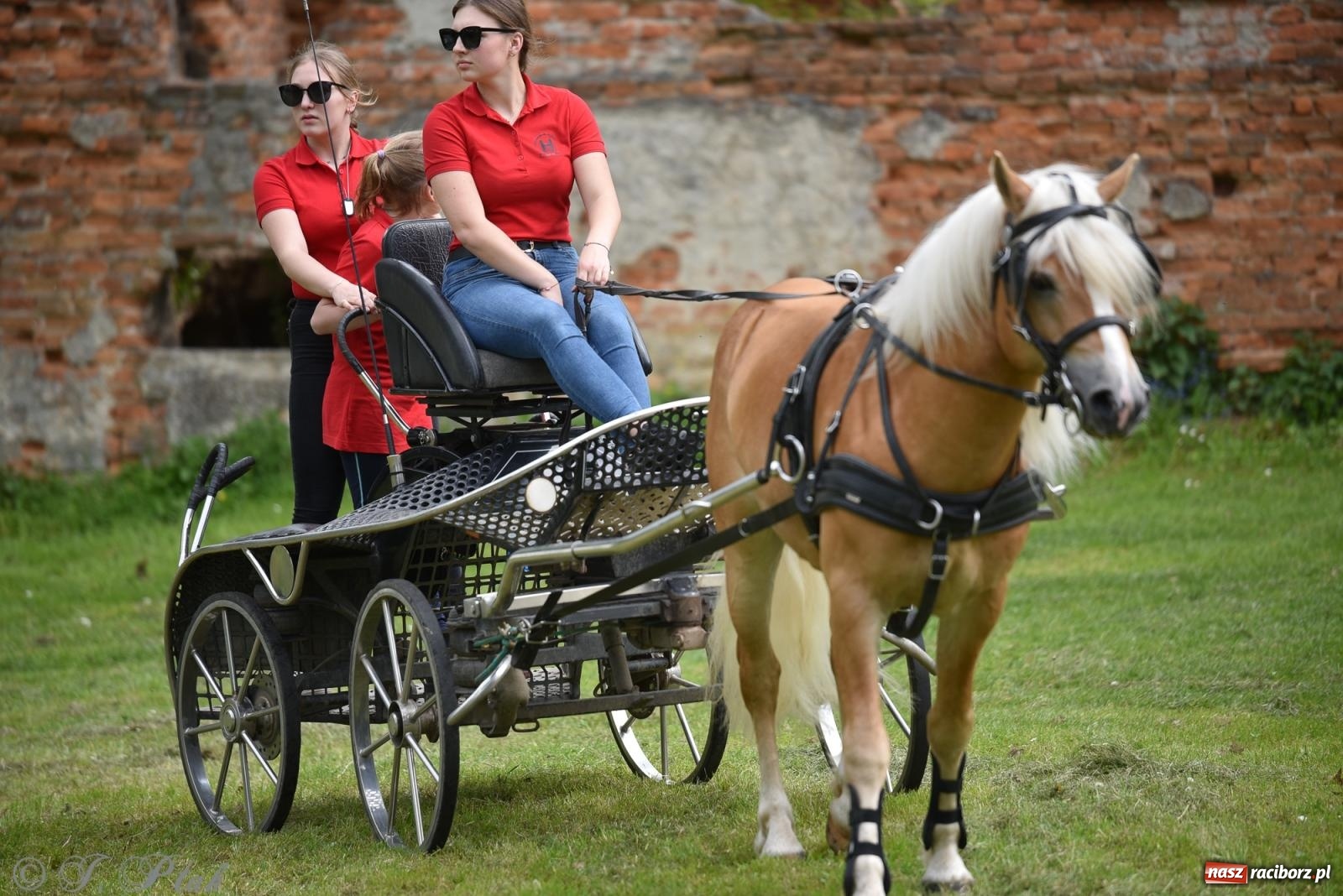 Zdjęcie w galerii na portalu naszraciborz.pl: Łubowicka procesja konna na bis! [FOTO i WIDEO] wiadomości z regionu