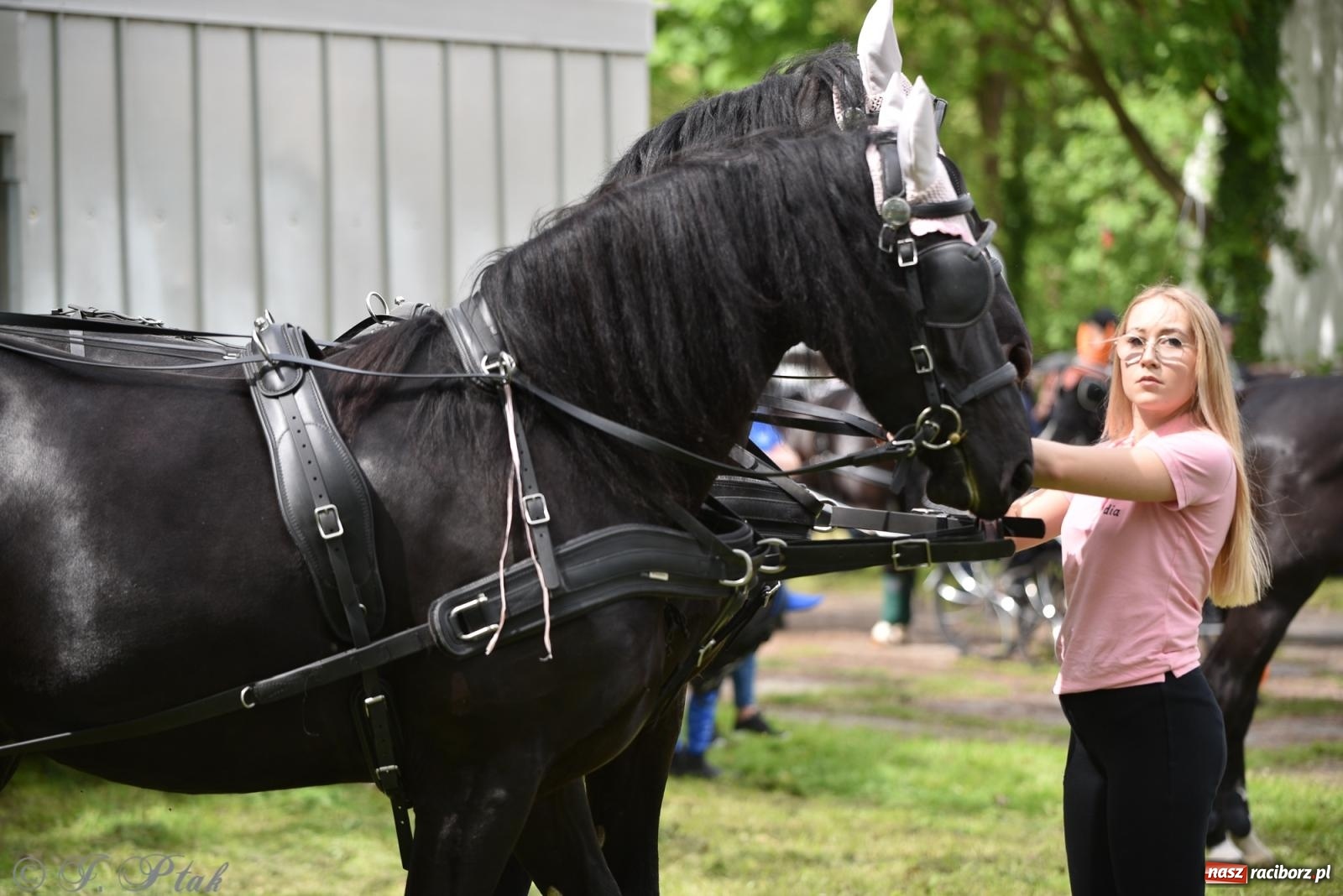 Zdjęcie w galerii na portalu naszraciborz.pl: Łubowicka procesja konna na bis! [FOTO i WIDEO] wiadomości z regionu