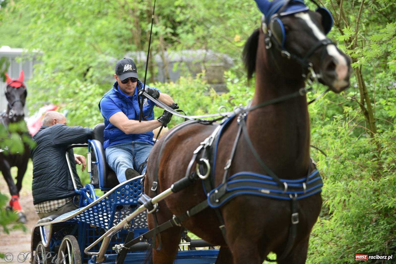 Zdjęcie w galerii na portalu naszraciborz.pl: Łubowicka procesja konna na bis! [FOTO i WIDEO] wiadomości z regionu
