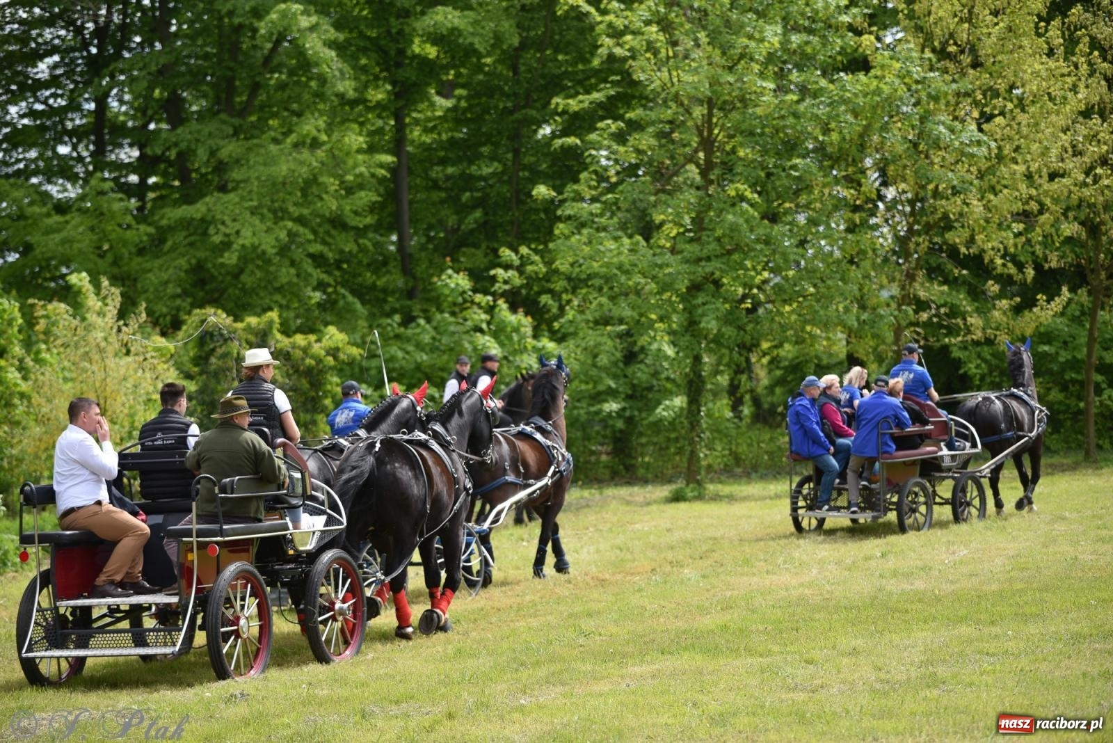 Zdjęcie w galerii na portalu naszraciborz.pl: Łubowicka procesja konna na bis! [FOTO i WIDEO] wiadomości z regionu