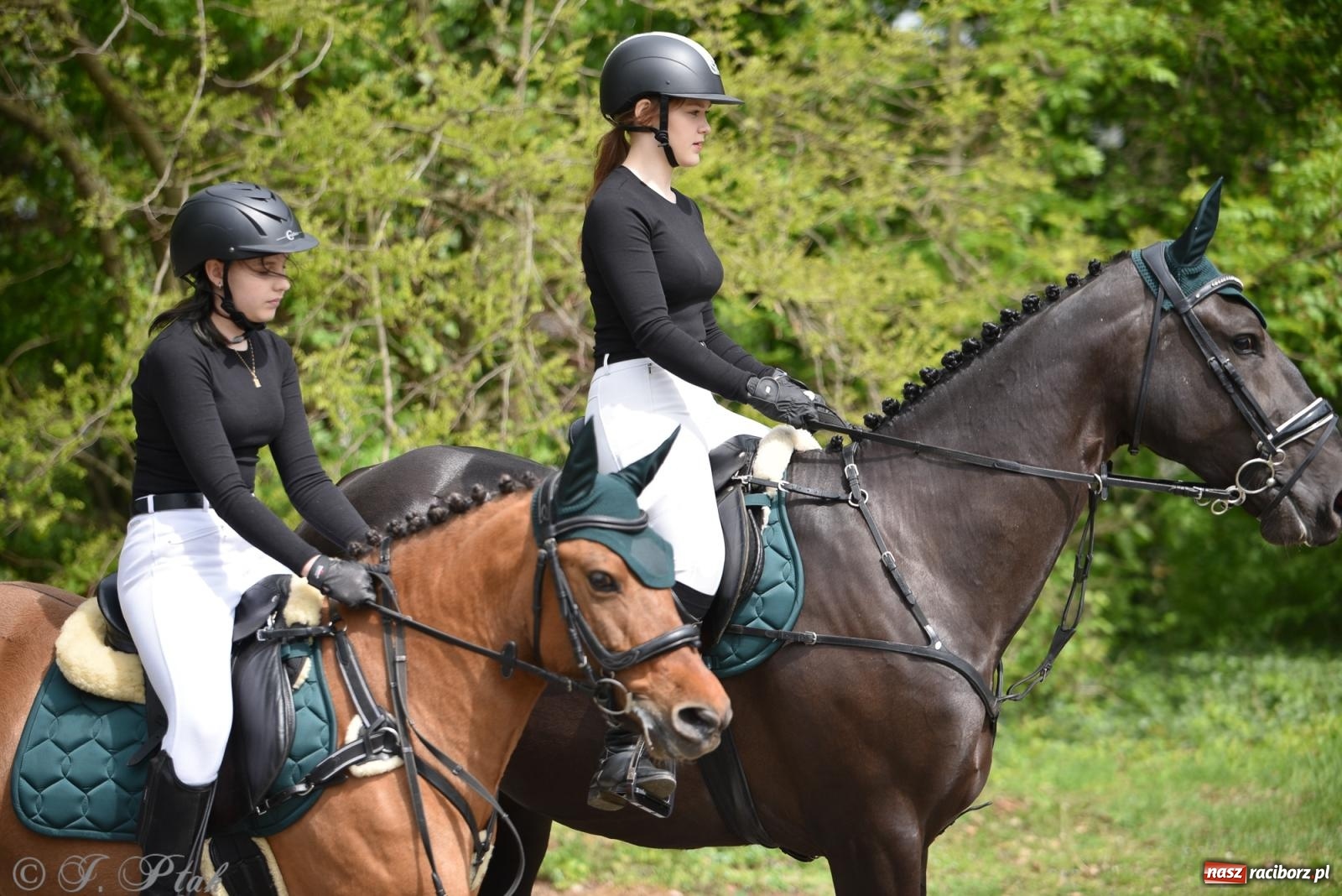 Zdjęcie w galerii na portalu naszraciborz.pl: Łubowicka procesja konna na bis! [FOTO i WIDEO] wiadomości z regionu