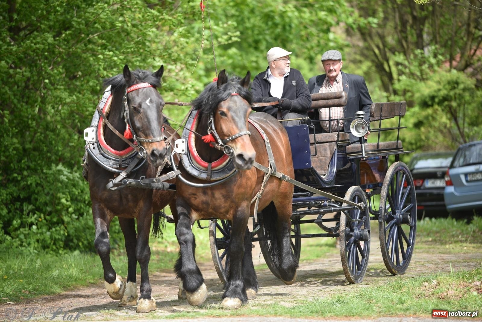 Zdjęcie w galerii na portalu naszraciborz.pl: Łubowicka procesja konna na bis! [FOTO i WIDEO] wiadomości z regionu
