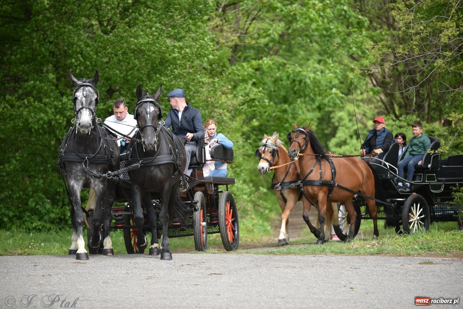 Zdjęcie w galerii na portalu naszraciborz.pl: Łubowicka procesja konna na bis! [FOTO i WIDEO] wiadomości z regionu