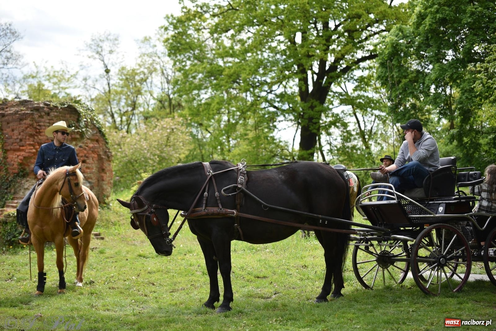 Zdjęcie w galerii na portalu naszraciborz.pl: Łubowicka procesja konna na bis! [FOTO i WIDEO] wiadomości z regionu