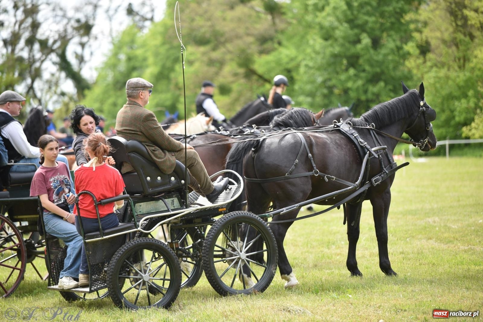 Zdjęcie w galerii na portalu naszraciborz.pl: Łubowicka procesja konna na bis! [FOTO i WIDEO] wiadomości z regionu