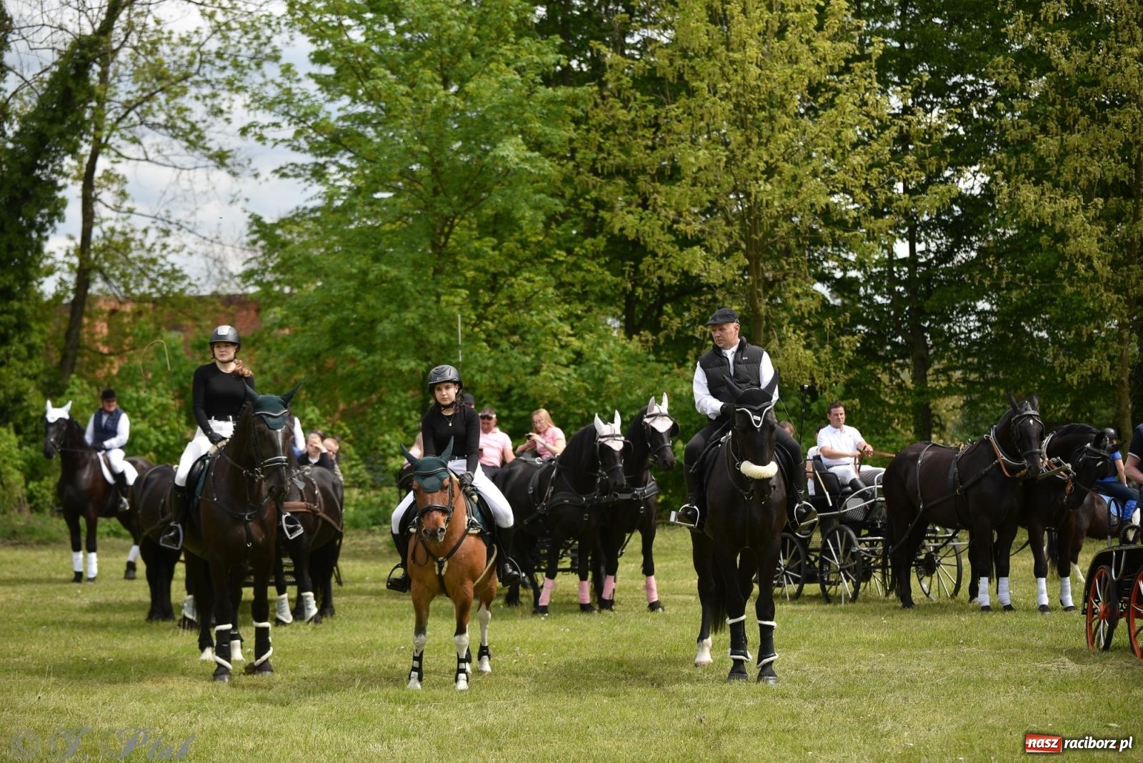 Zdjęcie w galerii na portalu naszraciborz.pl: Łubowicka procesja konna na bis! [FOTO i WIDEO] wiadomości z regionu