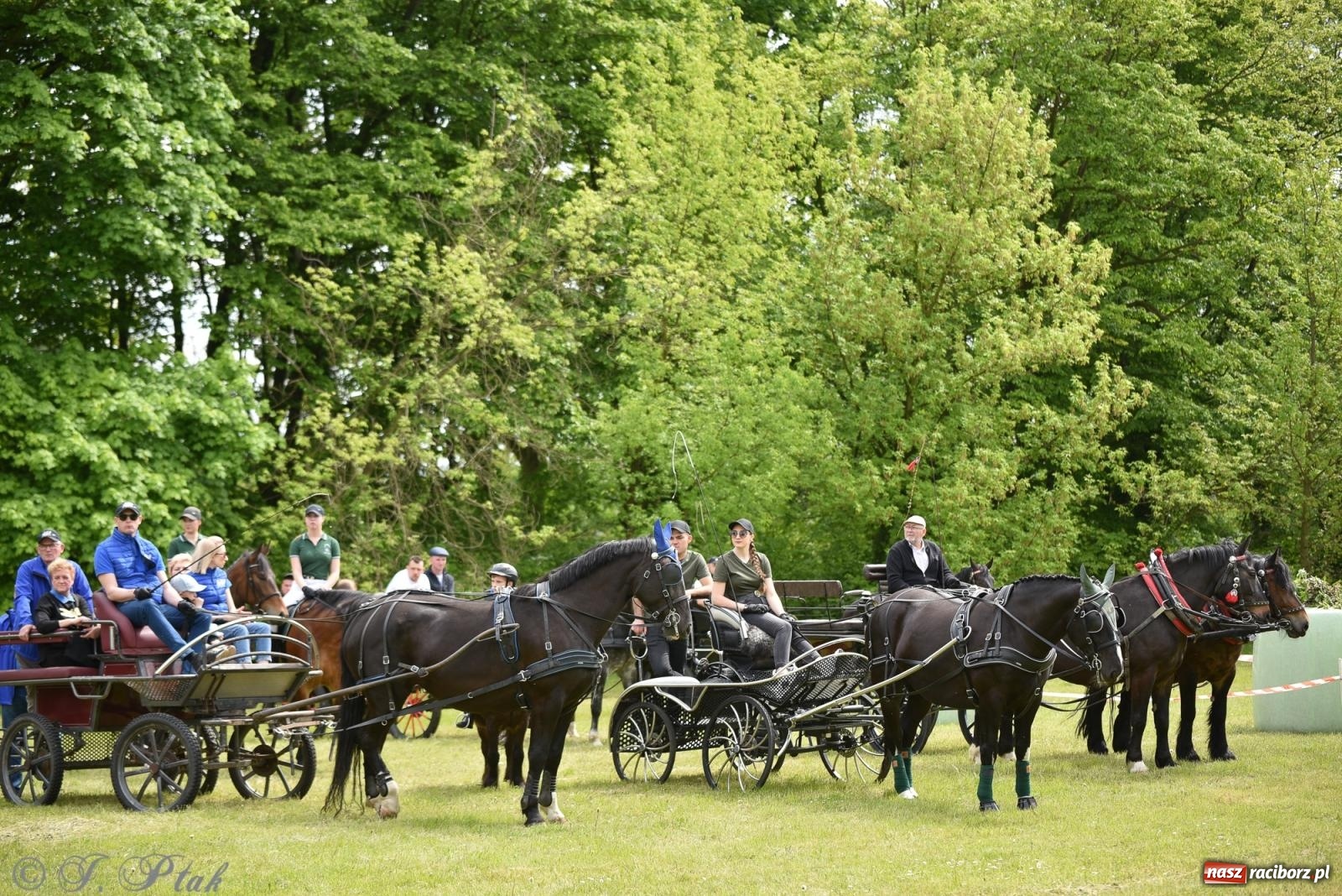 Zdjęcie w galerii na portalu naszraciborz.pl: Łubowicka procesja konna na bis! [FOTO i WIDEO] wiadomości z regionu