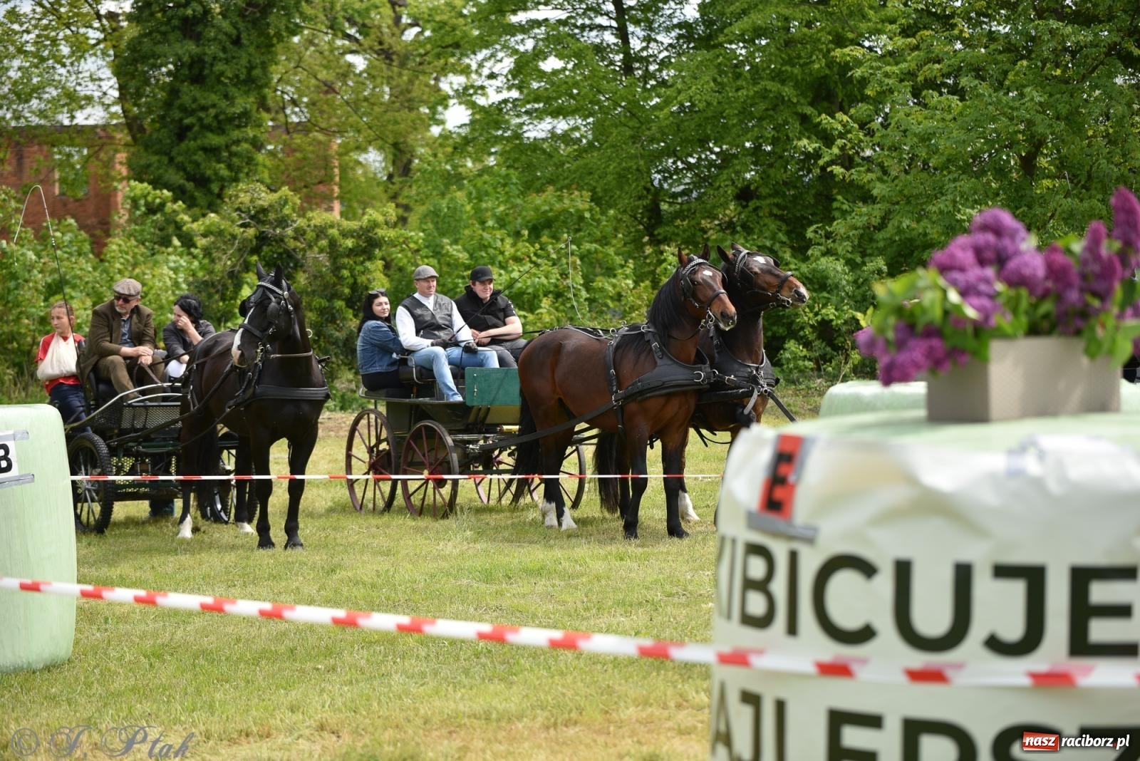 Zdjęcie w galerii na portalu naszraciborz.pl: Łubowicka procesja konna na bis! [FOTO i WIDEO] wiadomości z regionu