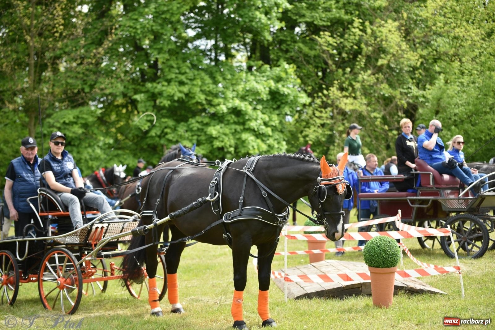 Zdjęcie w galerii na portalu naszraciborz.pl: Łubowicka procesja konna na bis! [FOTO i WIDEO] wiadomości z regionu