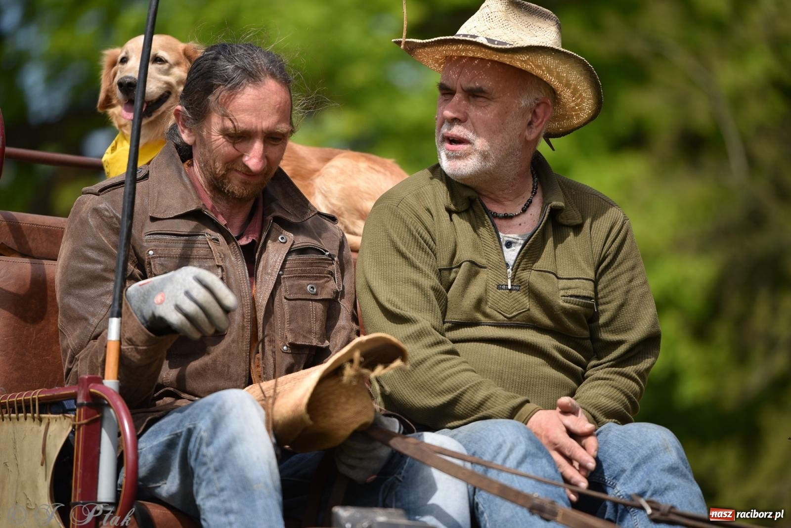 Zdjęcie w galerii na portalu naszraciborz.pl: Łubowicka procesja konna na bis! [FOTO i WIDEO] wiadomości z regionu