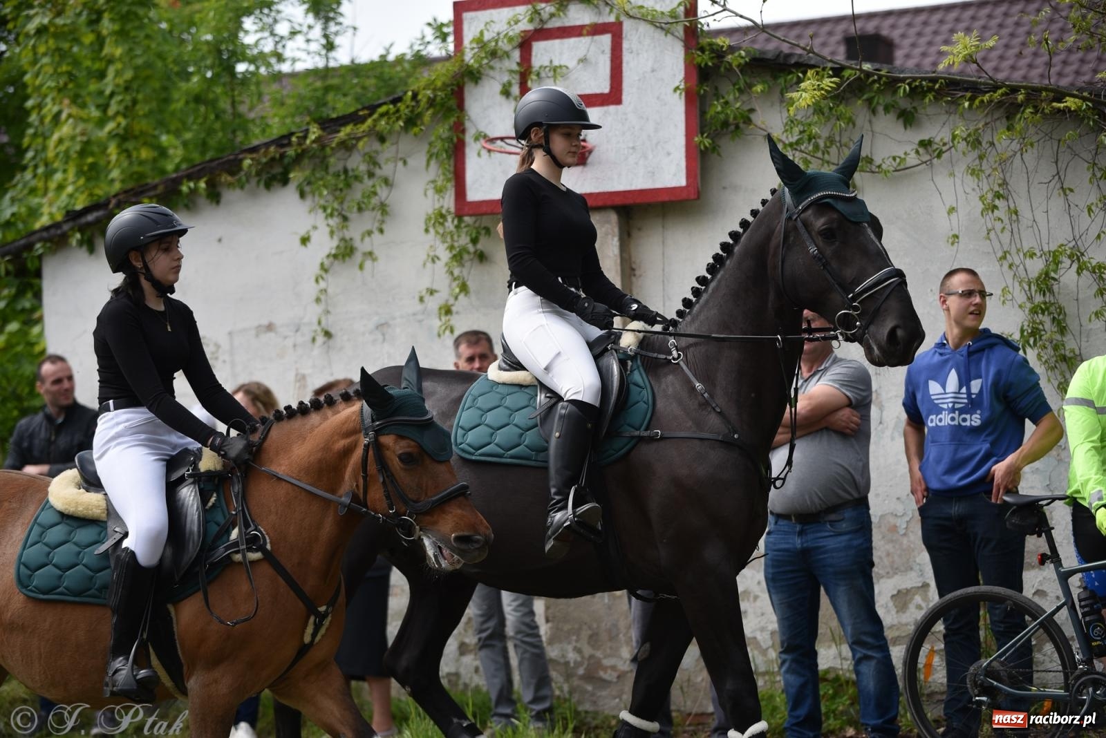 Zdjęcie w galerii na portalu naszraciborz.pl: Łubowicka procesja konna na bis! [FOTO i WIDEO] wiadomości z regionu