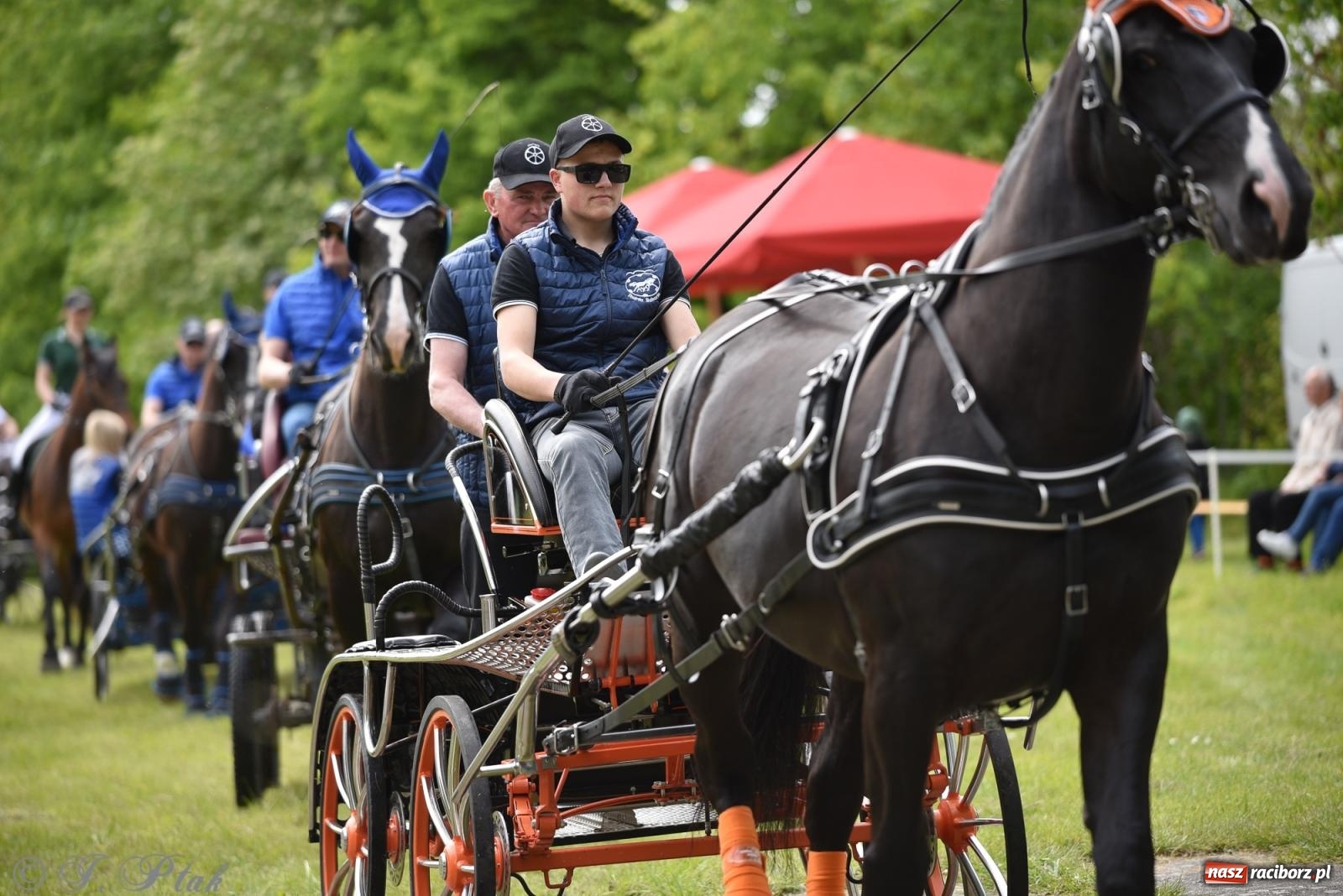 Zdjęcie w galerii na portalu naszraciborz.pl: Łubowicka procesja konna na bis! [FOTO i WIDEO] wiadomości z regionu