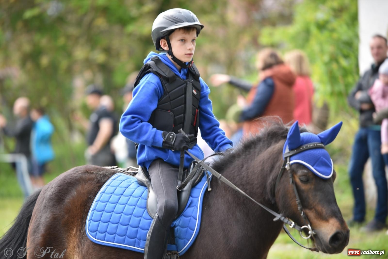Zdjęcie w galerii na portalu naszraciborz.pl: Łubowicka procesja konna na bis! [FOTO i WIDEO] wiadomości z regionu