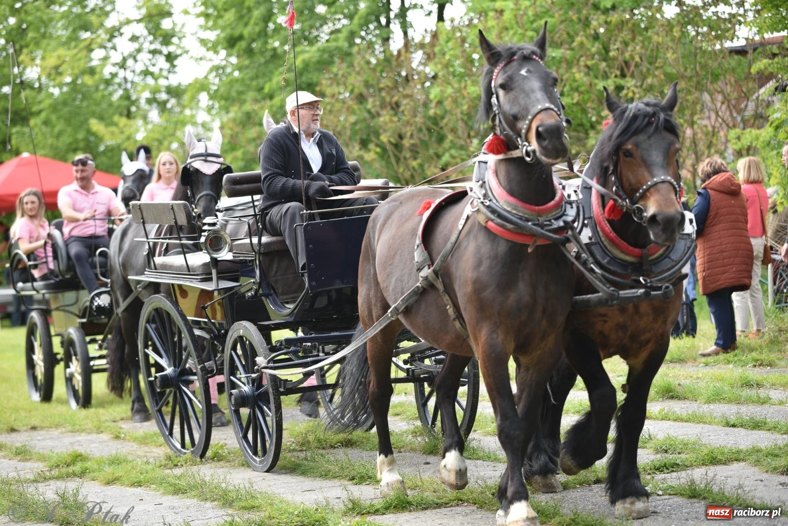 Zdjęcie w galerii na portalu naszraciborz.pl: Łubowicka procesja konna na bis! [FOTO i WIDEO] wiadomości z regionu