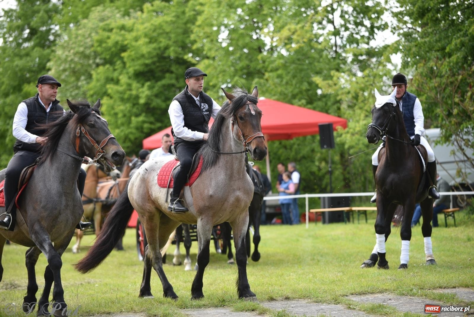 Zdjęcie w galerii na portalu naszraciborz.pl: Łubowicka procesja konna na bis! [FOTO i WIDEO] wiadomości z regionu