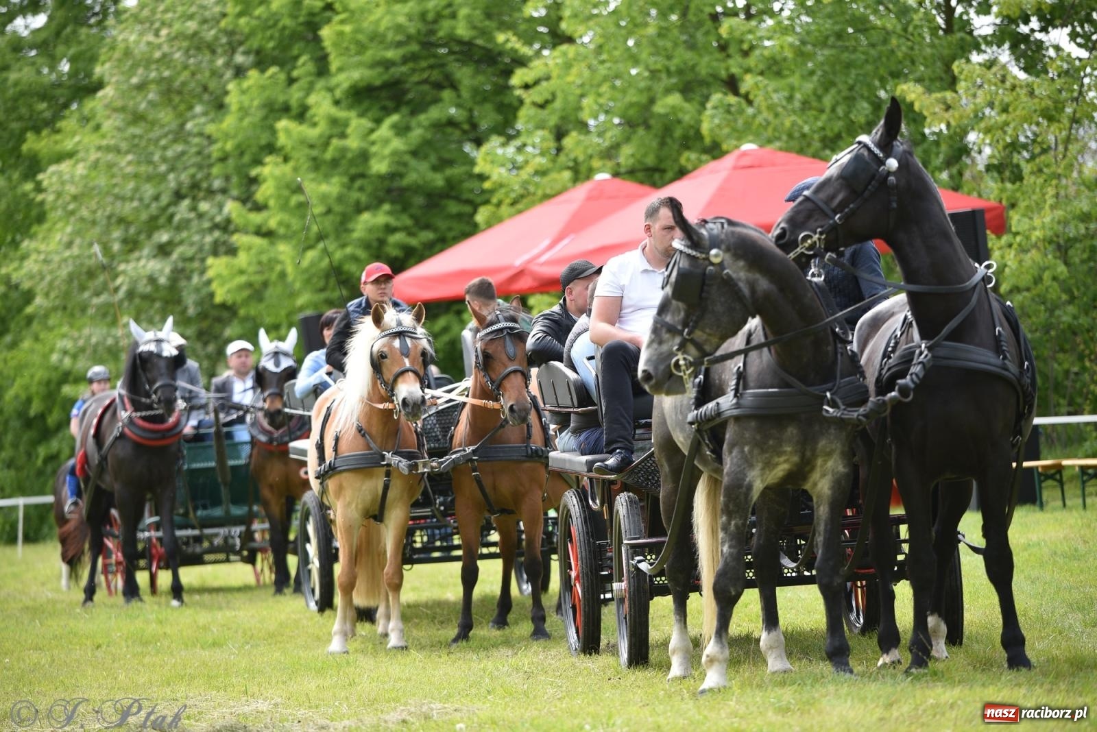 Zdjęcie w galerii na portalu naszraciborz.pl: Łubowicka procesja konna na bis! [FOTO i WIDEO] wiadomości z regionu