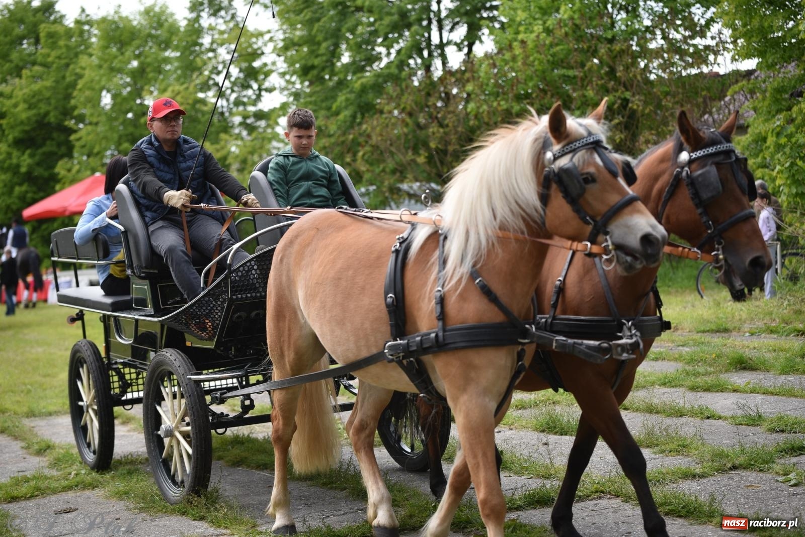Zdjęcie w galerii na portalu naszraciborz.pl: Łubowicka procesja konna na bis! [FOTO i WIDEO] wiadomości z regionu
