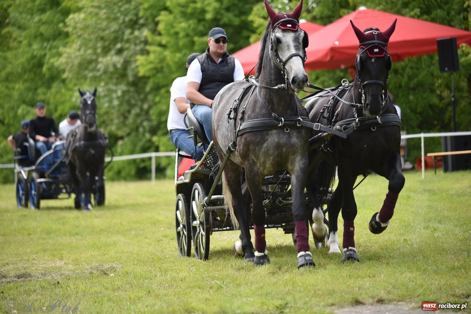 Zdjęcie w galerii na portalu naszraciborz.pl: Łubowicka procesja konna na bis! [FOTO i WIDEO] wiadomości z regionu