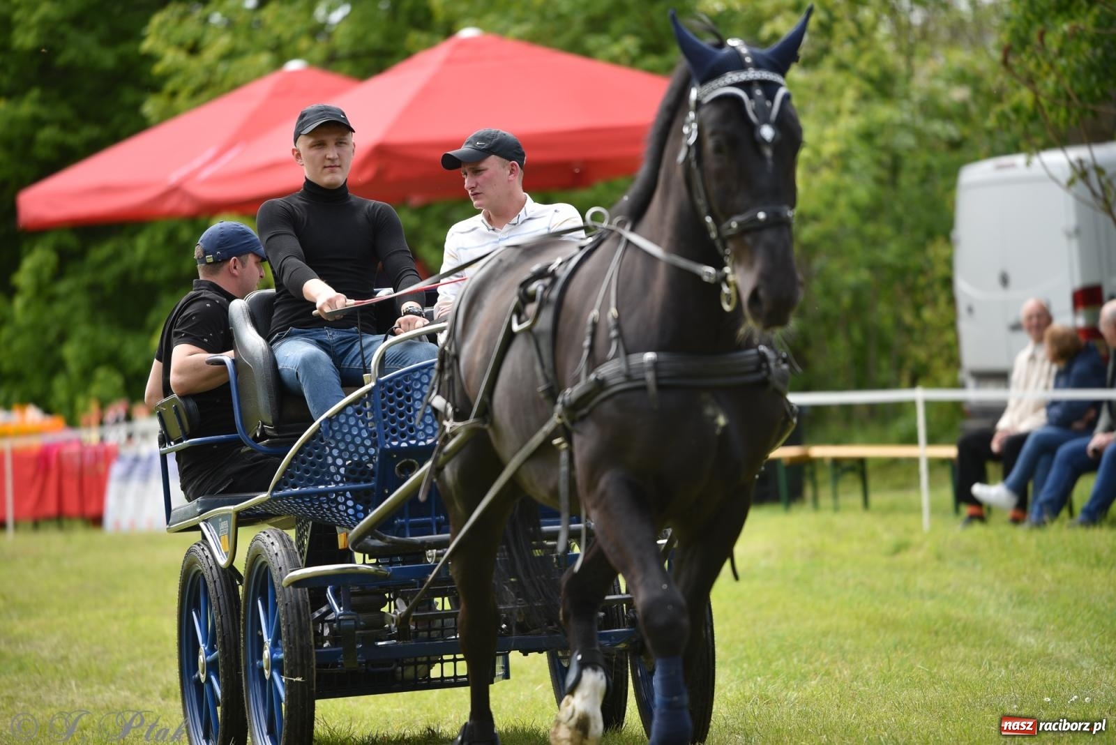 Zdjęcie w galerii na portalu naszraciborz.pl: Łubowicka procesja konna na bis! [FOTO i WIDEO] wiadomości z regionu