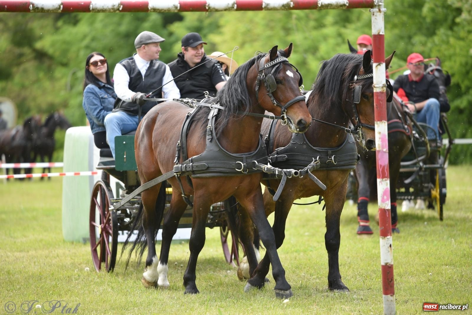 Zdjęcie w galerii na portalu naszraciborz.pl: Łubowicka procesja konna na bis! [FOTO i WIDEO] wiadomości z regionu