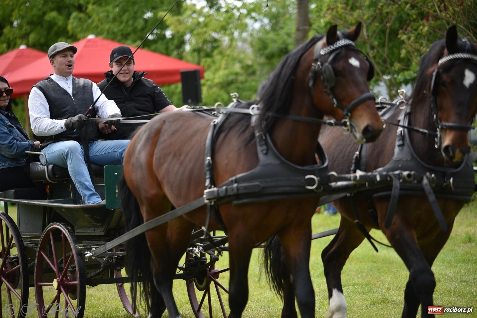 Zdjęcie w galerii na portalu naszraciborz.pl: Łubowicka procesja konna na bis! [FOTO i WIDEO] wiadomości z regionu