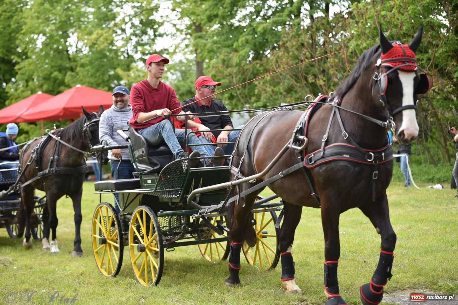 Zdjęcie w galerii na portalu naszraciborz.pl: Łubowicka procesja konna na bis! [FOTO i WIDEO] wiadomości z regionu
