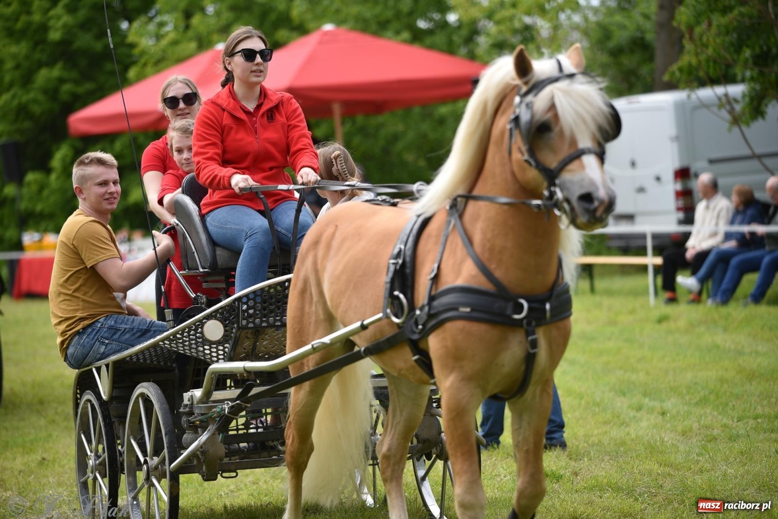 Zdjęcie w galerii na portalu naszraciborz.pl: Łubowicka procesja konna na bis! [FOTO i WIDEO] wiadomości z regionu