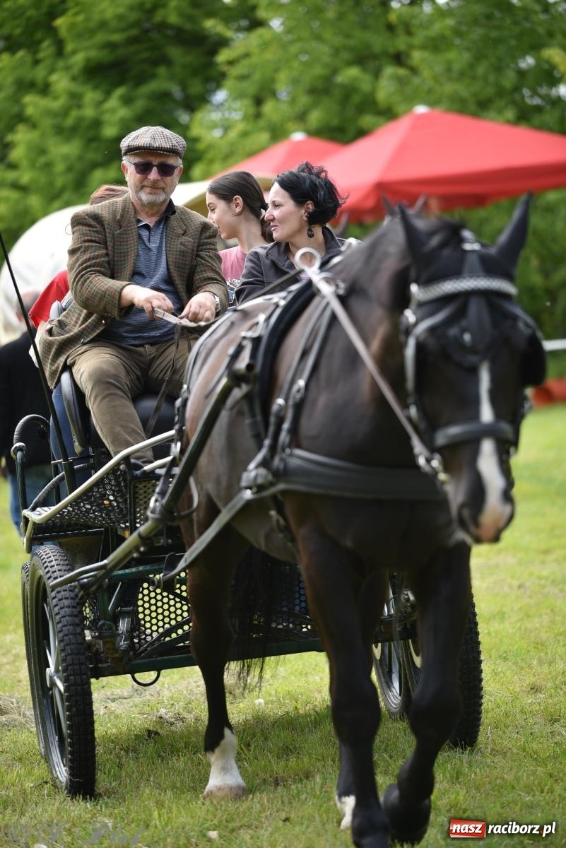 Zdjęcie w galerii na portalu naszraciborz.pl: Łubowicka procesja konna na bis! [FOTO i WIDEO] wiadomości z regionu