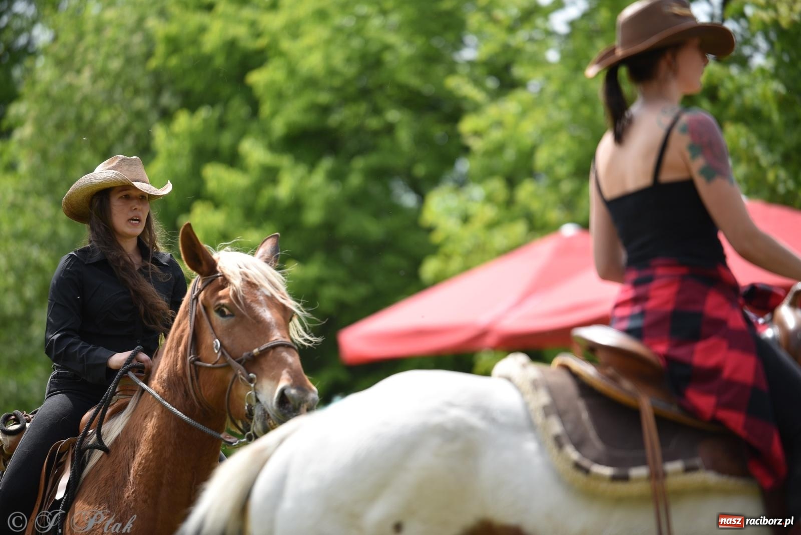 Zdjęcie w galerii na portalu naszraciborz.pl: Łubowicka procesja konna na bis! [FOTO i WIDEO] wiadomości z regionu