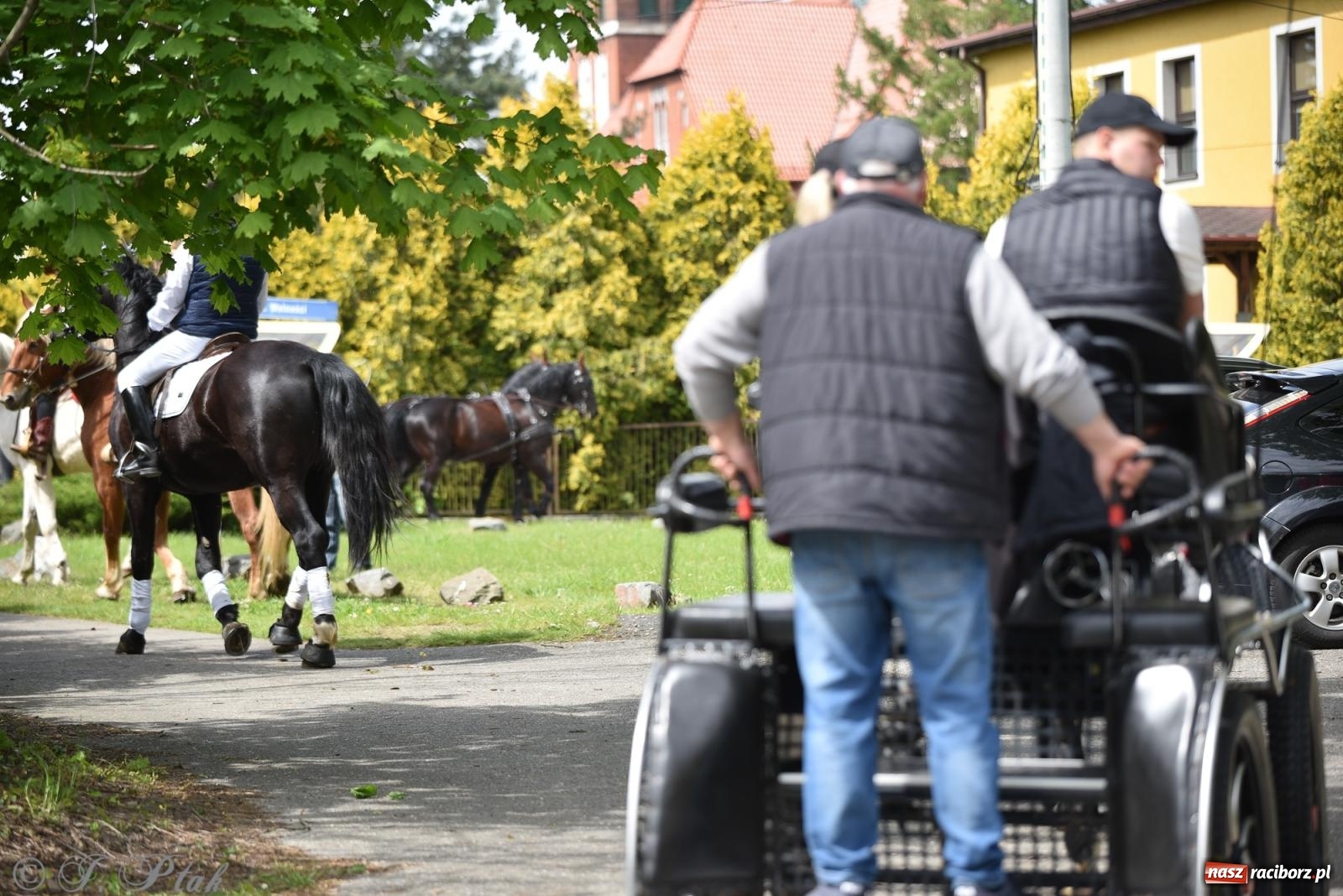 Zdjęcie w galerii na portalu naszraciborz.pl: Łubowicka procesja konna na bis! [FOTO i WIDEO] wiadomości z regionu