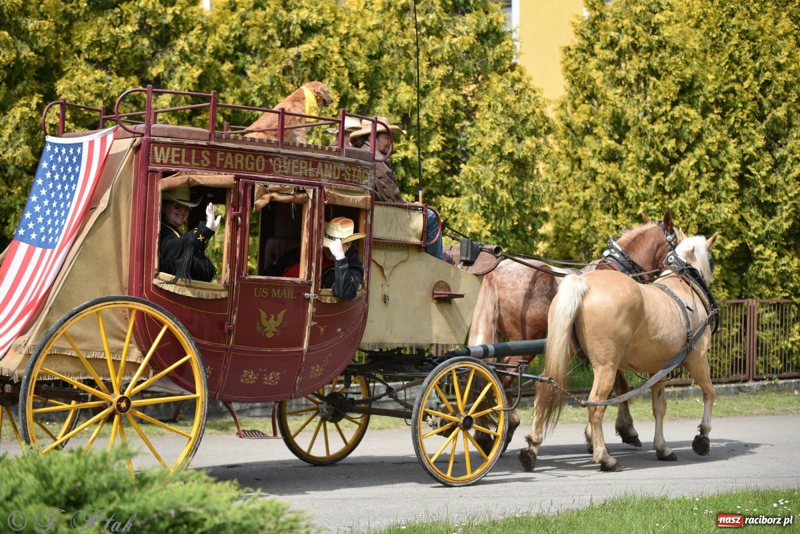 Zdjęcie w galerii na portalu naszraciborz.pl: Łubowicka procesja konna na bis! [FOTO i WIDEO] wiadomości z regionu