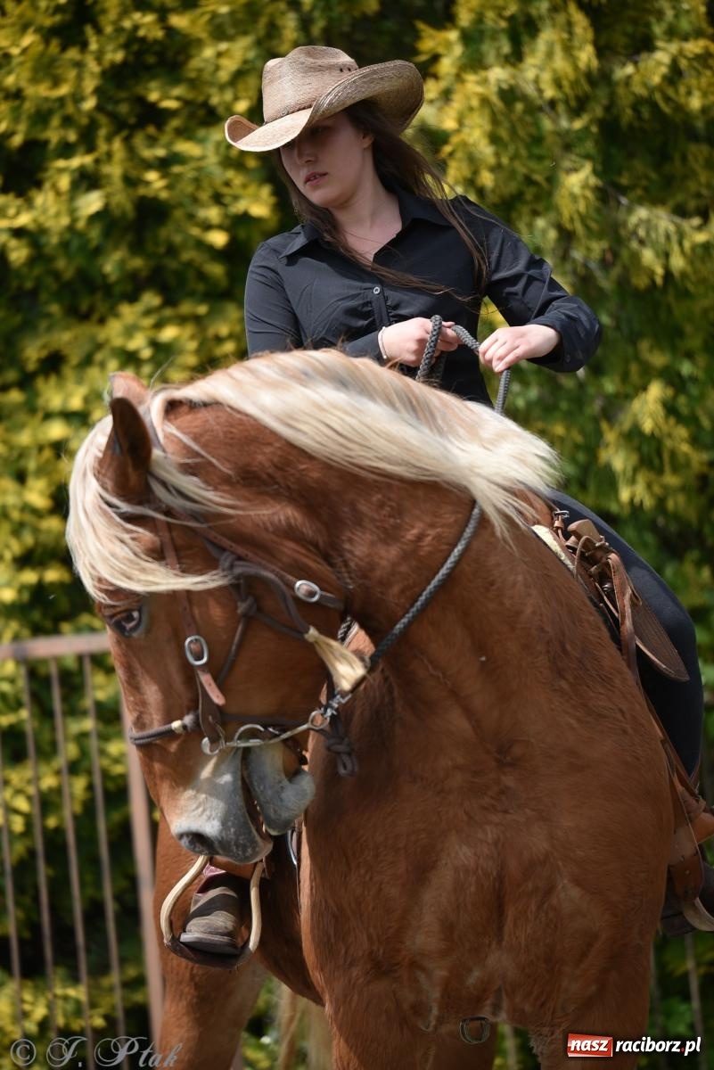 Zdjęcie w galerii na portalu naszraciborz.pl: Łubowicka procesja konna na bis! [FOTO i WIDEO] wiadomości z regionu