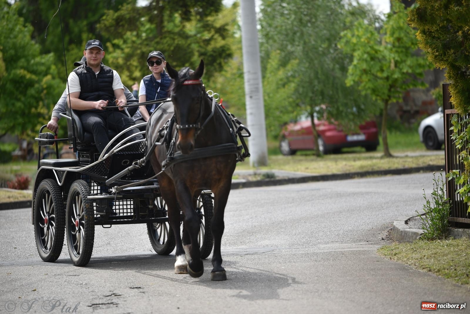 Zdjęcie w galerii na portalu naszraciborz.pl: Łubowicka procesja konna na bis! [FOTO i WIDEO] wiadomości z regionu
