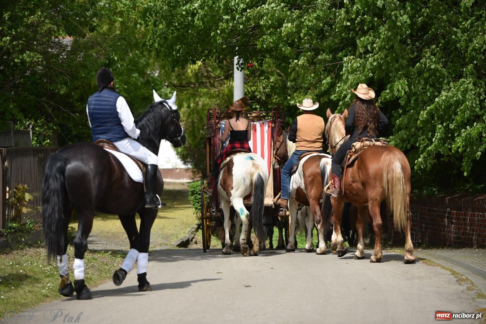 Zdjęcie w galerii na portalu naszraciborz.pl: Łubowicka procesja konna na bis! [FOTO i WIDEO] wiadomości z regionu