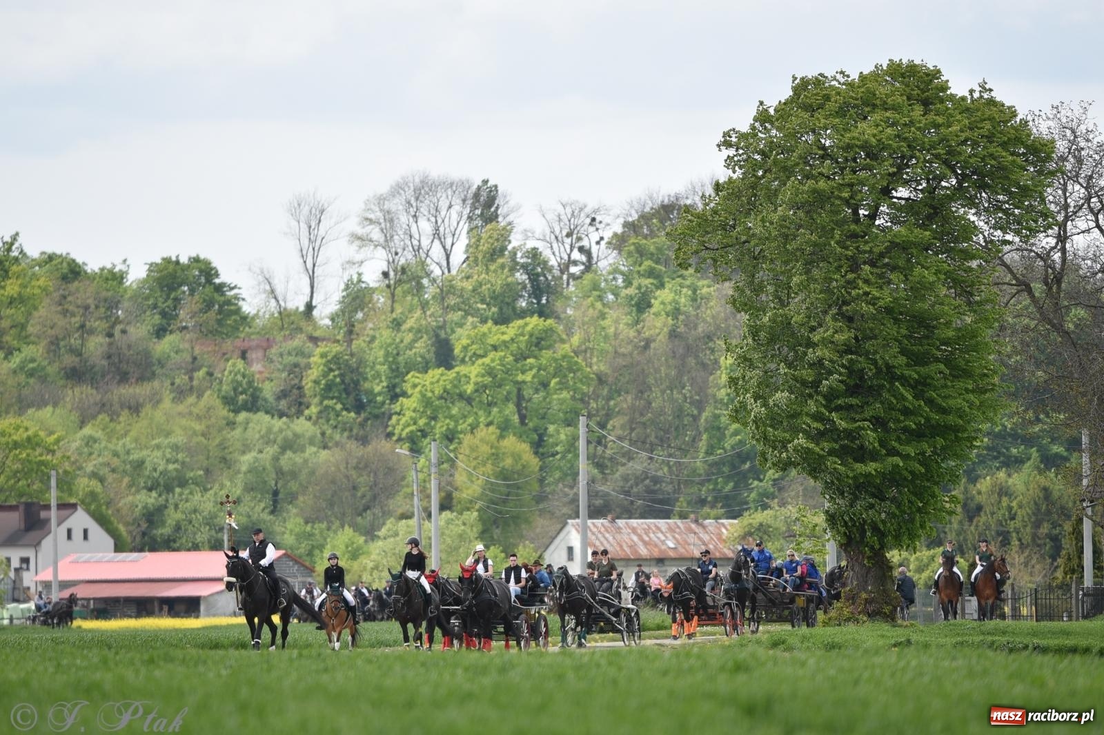 Zdjęcie w galerii na portalu naszraciborz.pl: Łubowicka procesja konna na bis! [FOTO i WIDEO] wiadomości z regionu