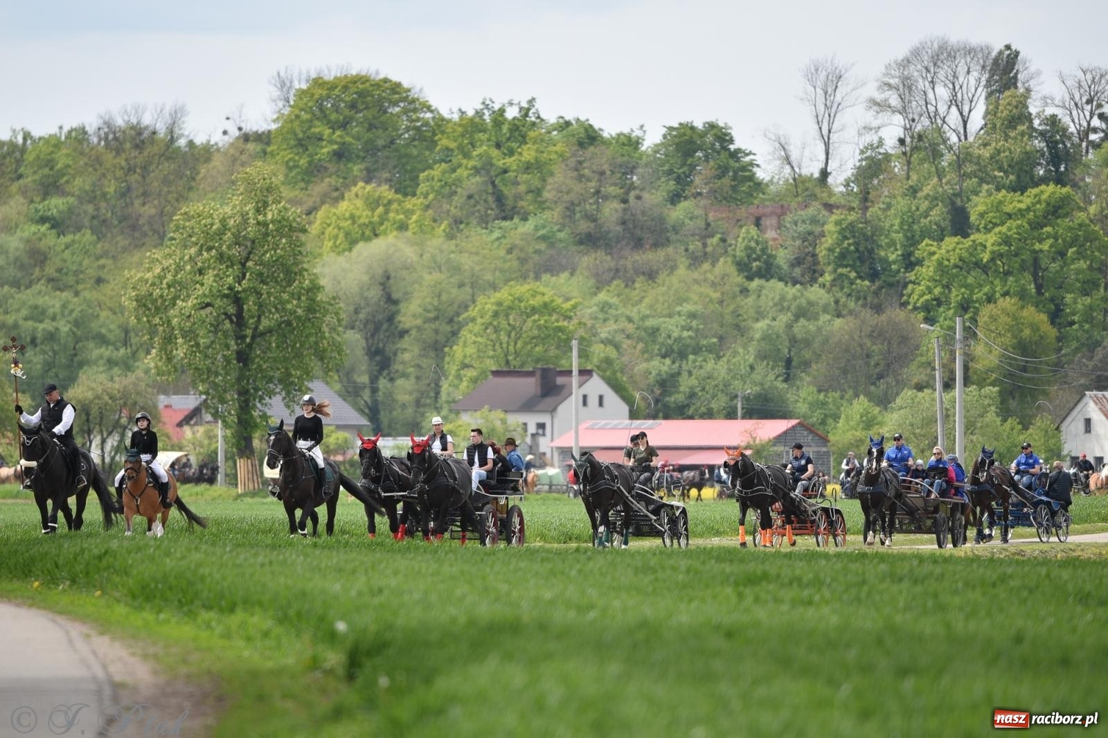 Zdjęcie w galerii na portalu naszraciborz.pl: Łubowicka procesja konna na bis! [FOTO i WIDEO] wiadomości z regionu