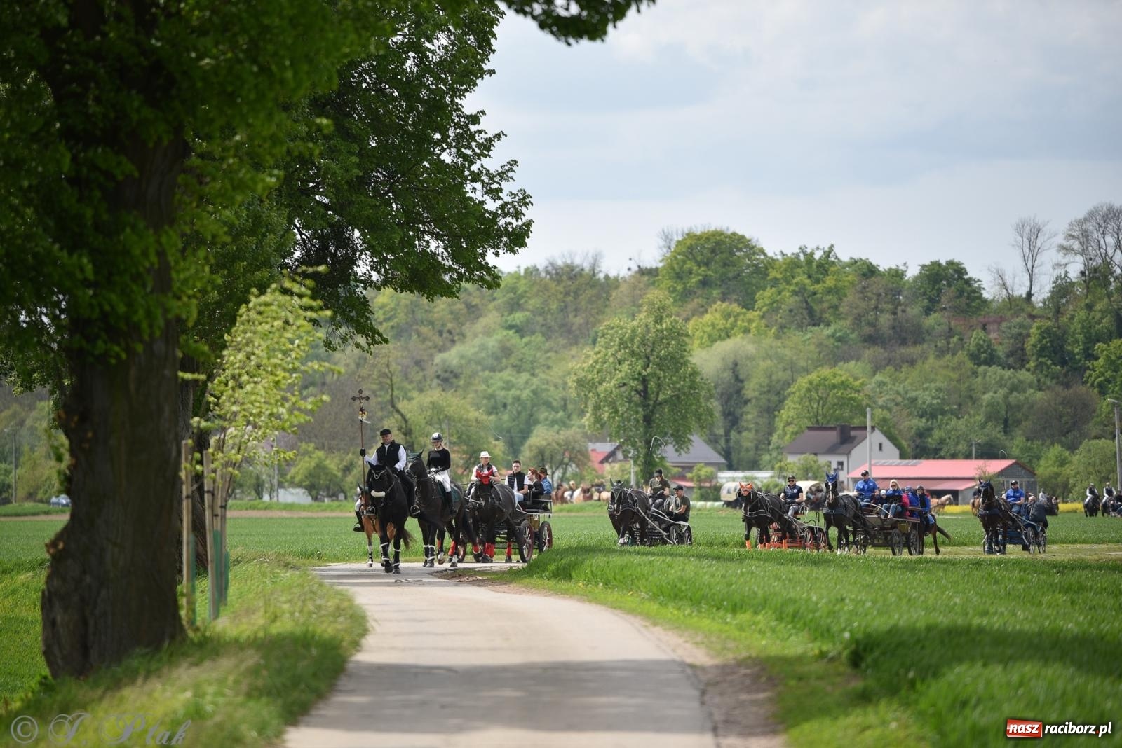 Zdjęcie w galerii na portalu naszraciborz.pl: Łubowicka procesja konna na bis! [FOTO i WIDEO] wiadomości z regionu
