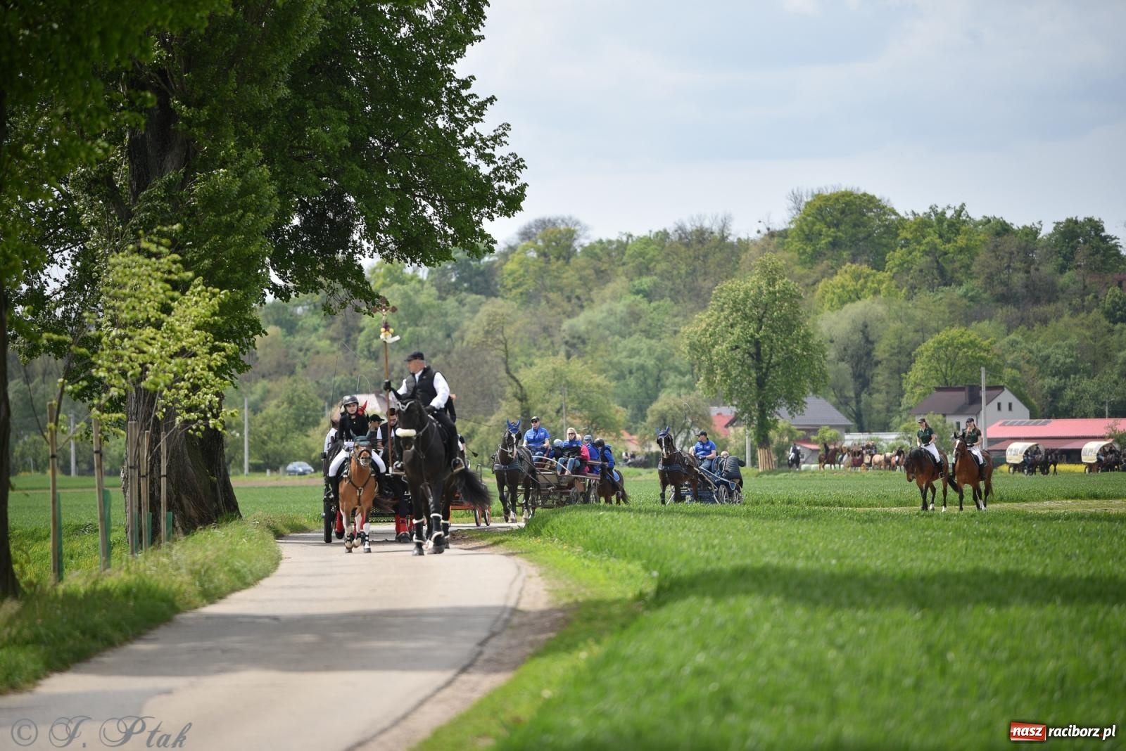Zdjęcie w galerii na portalu naszraciborz.pl: Łubowicka procesja konna na bis! [FOTO i WIDEO] wiadomości z regionu