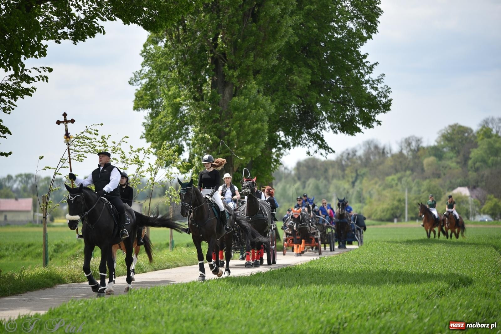 Zdjęcie w galerii na portalu naszraciborz.pl: Łubowicka procesja konna na bis! [FOTO i WIDEO] wiadomości z regionu